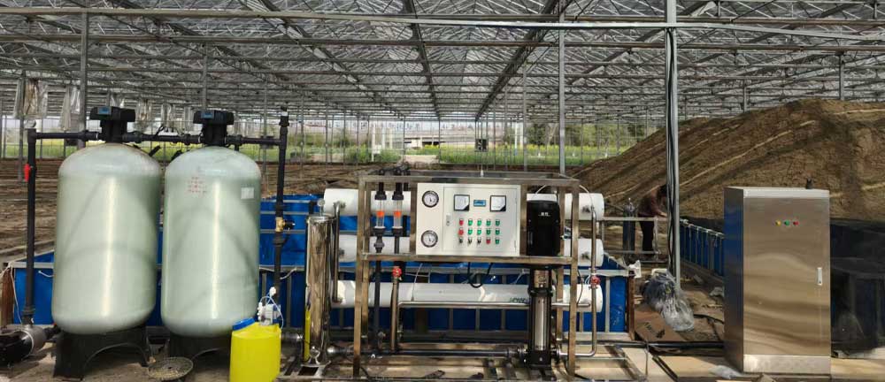 海安市恩典蓝莓园